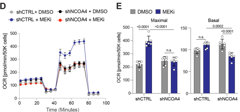 image-20220710080645541