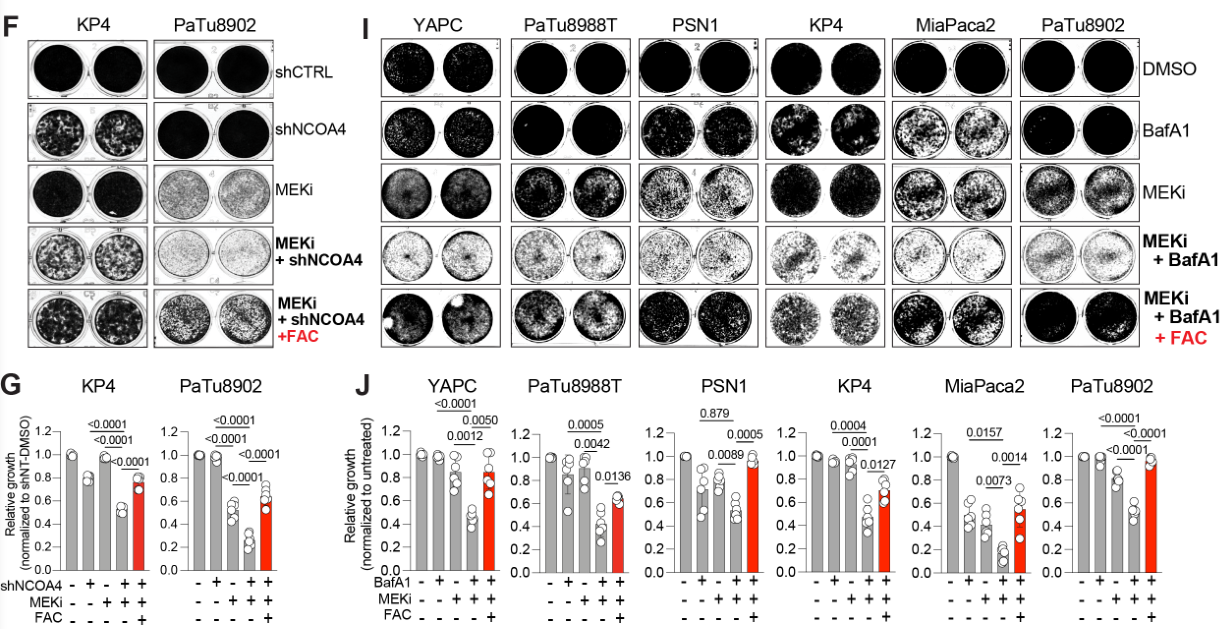 image-20220710082910543