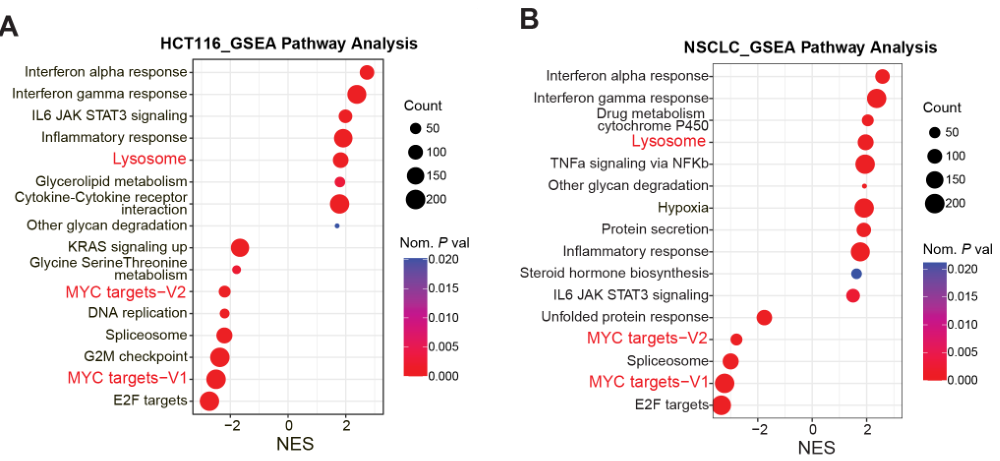 image-20220710083747762