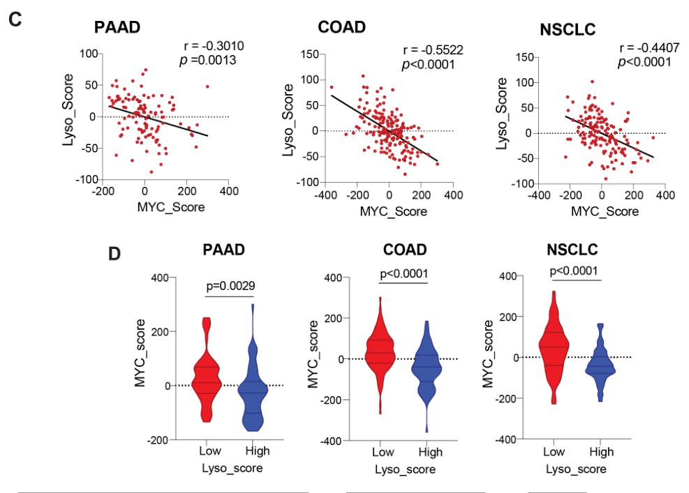 image-20220710200101583