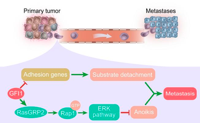 image-20220713102855430