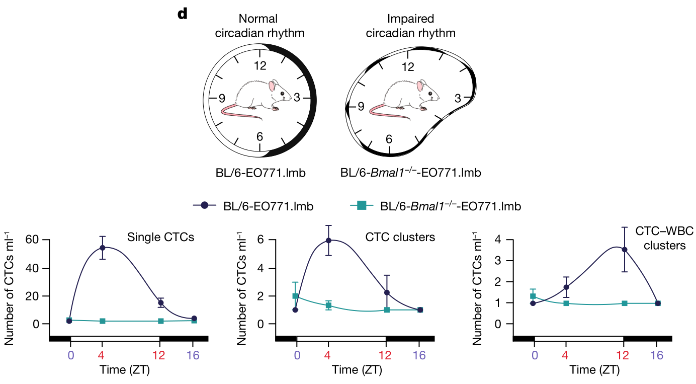 image-20220713164717475