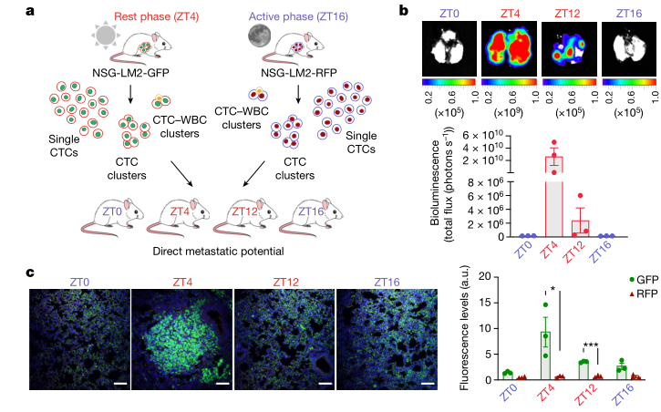 image-20220714124523904