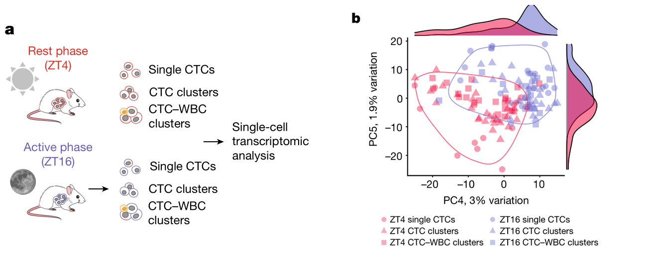 image-20220714155453030