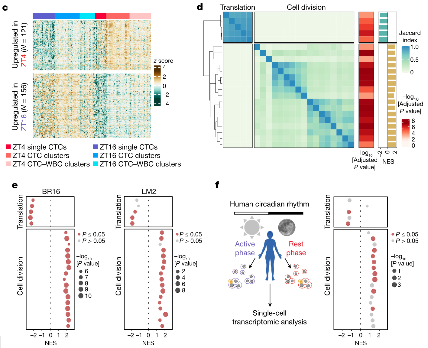 image-20220714155528797