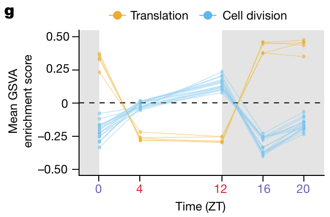 image-20220714155636289