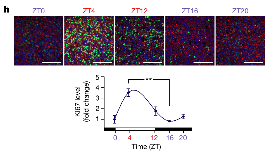 image-20220714155719698