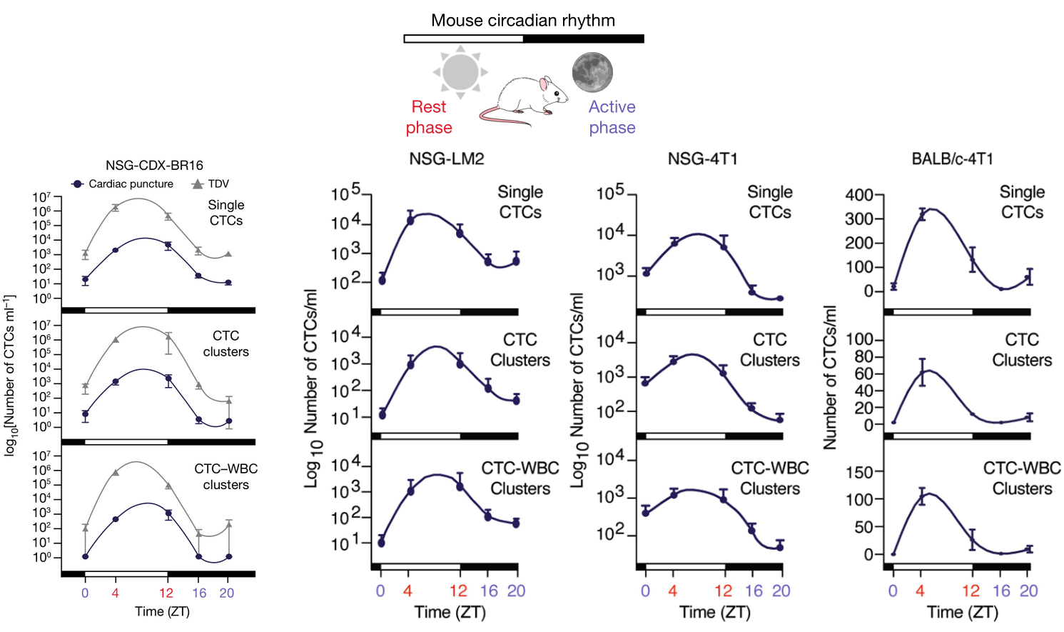 image-20220714163253827