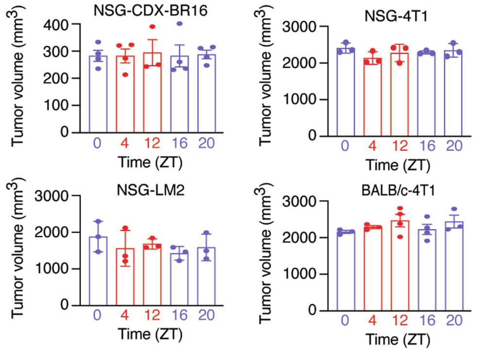 image-20220714163635648