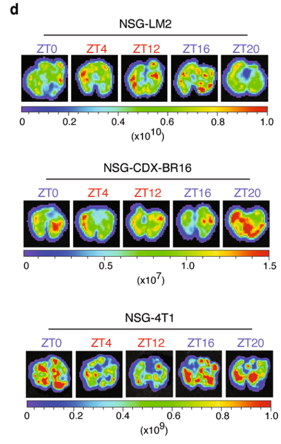 image-20220714165010390