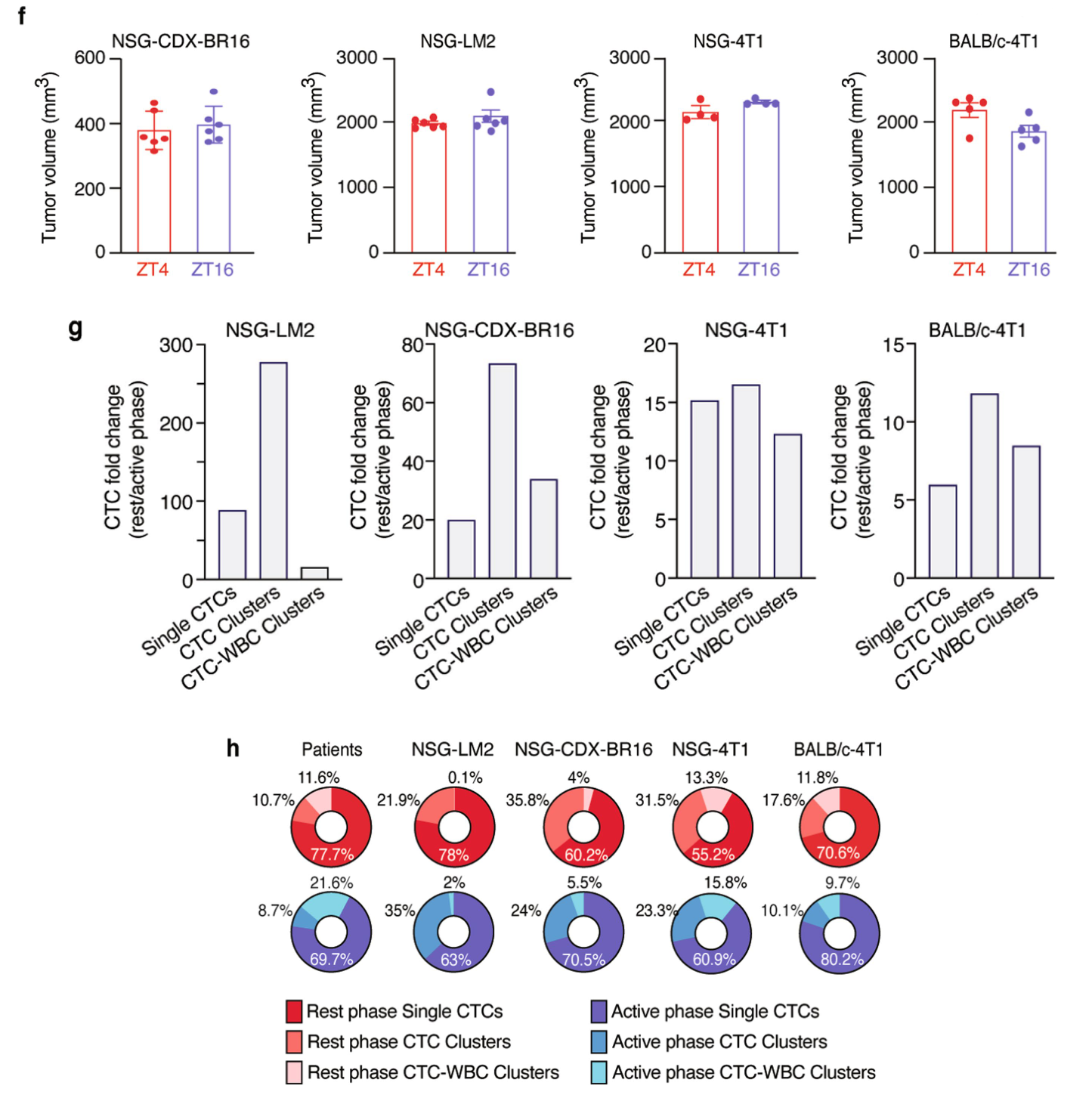 image-20220714165448734