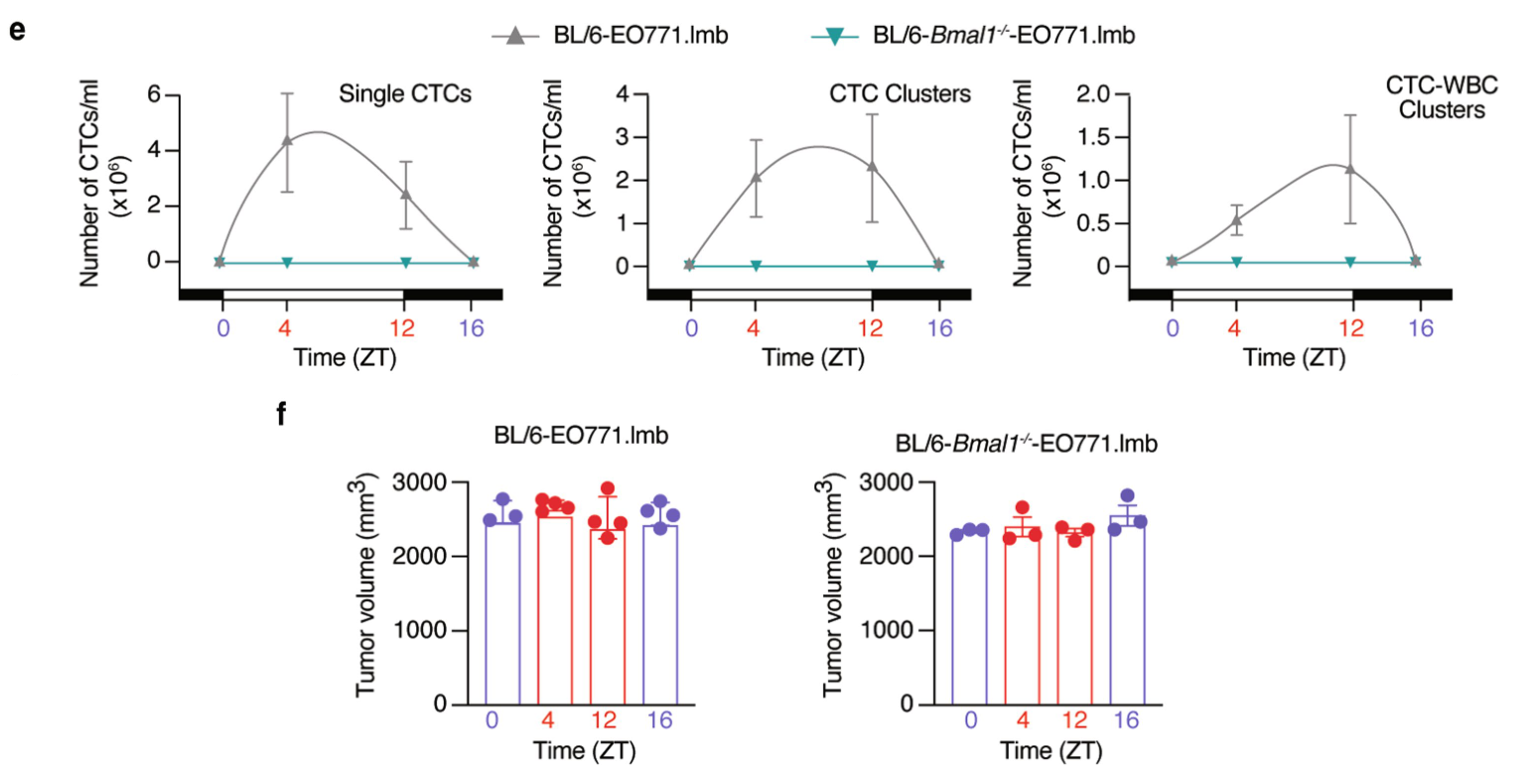 image-20220715153845568