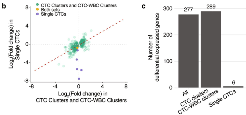 image-20220715155713222