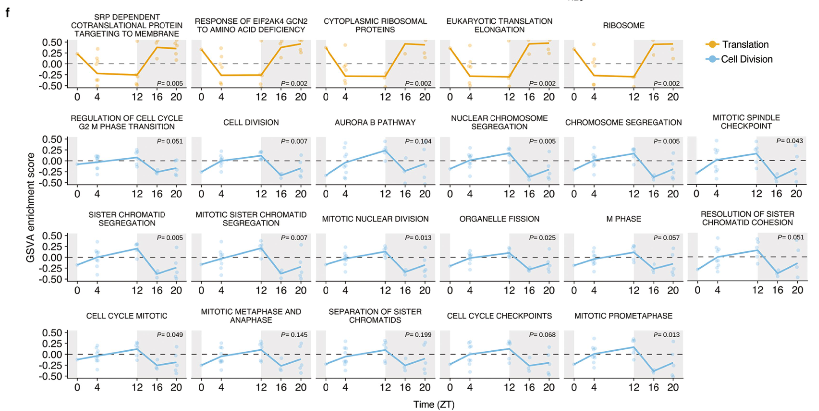 image-20220715160053658