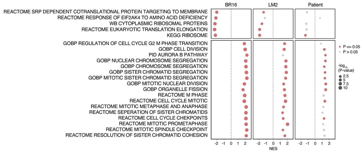 image-20220715160213645