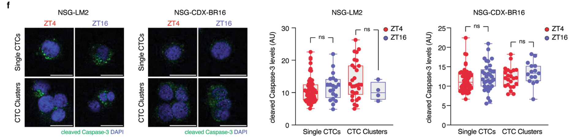 image-20220715163611542