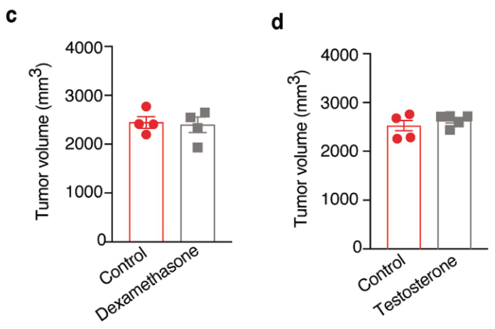 image-20220715165408449