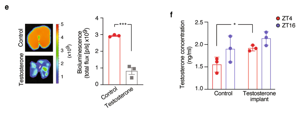 image-20220715165536647