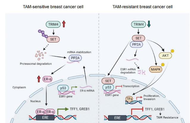 image-20220718220727550