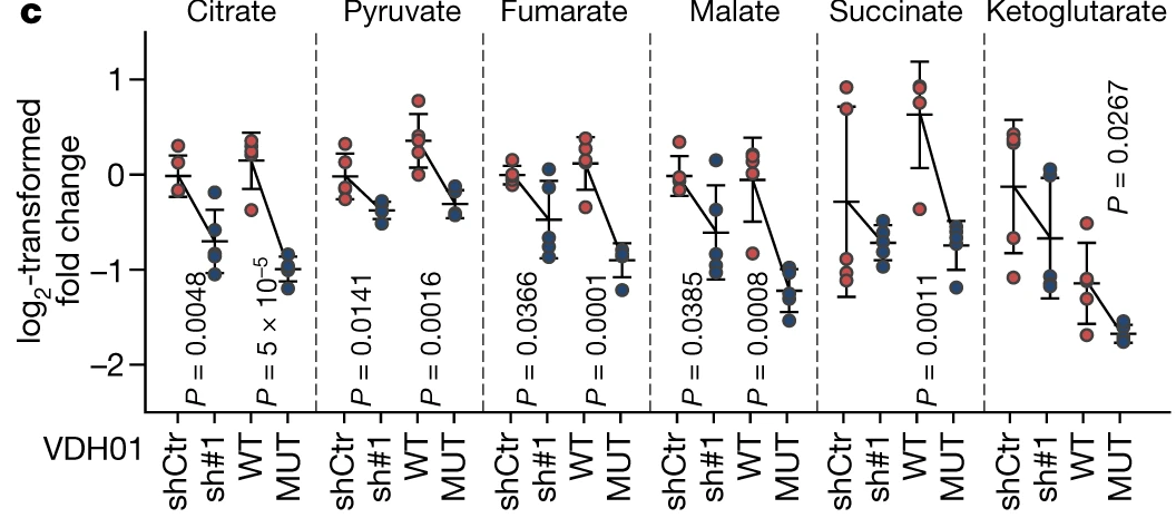 image-20220721215252374