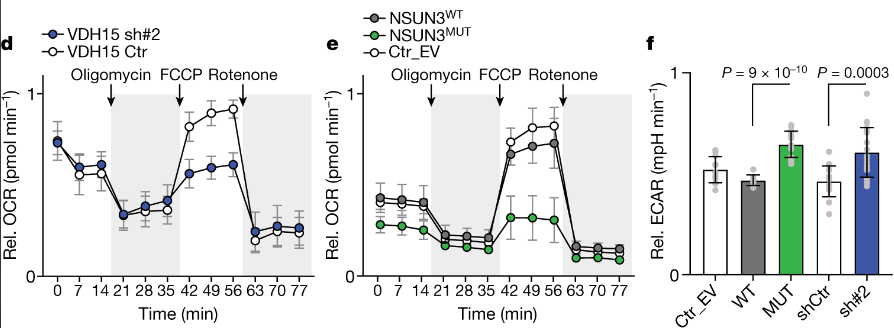 image-20220721222538470