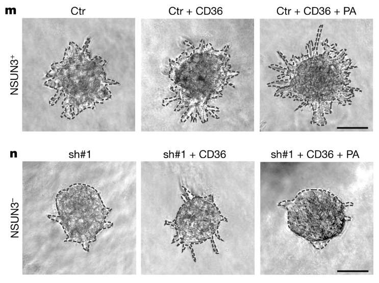 image-20220722114141329