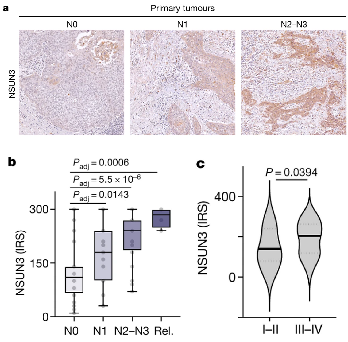 image-20220722125341918