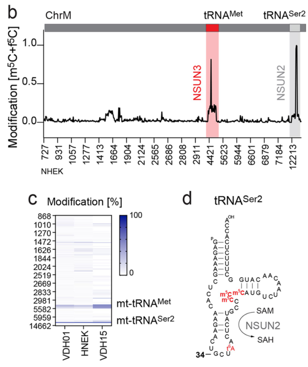 image-20220722161411042