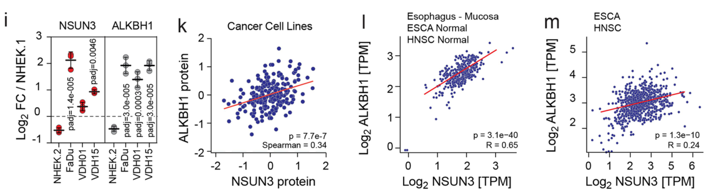 image-20220722162400453