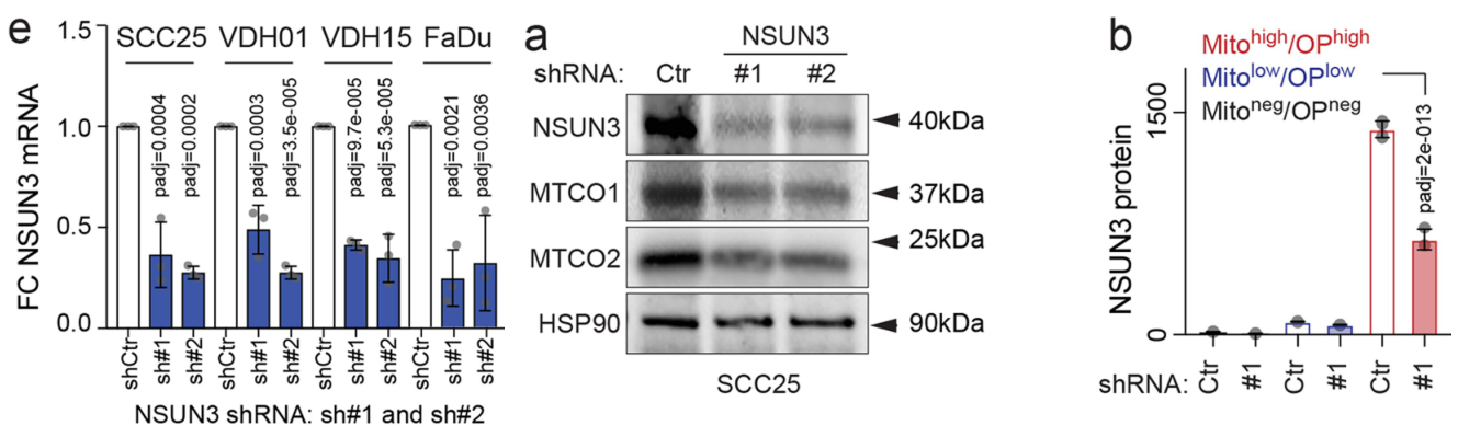 image-20220723081502659