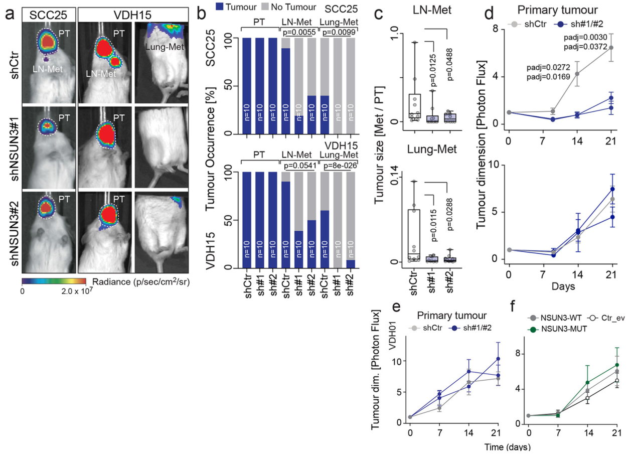 image-20220723133709571