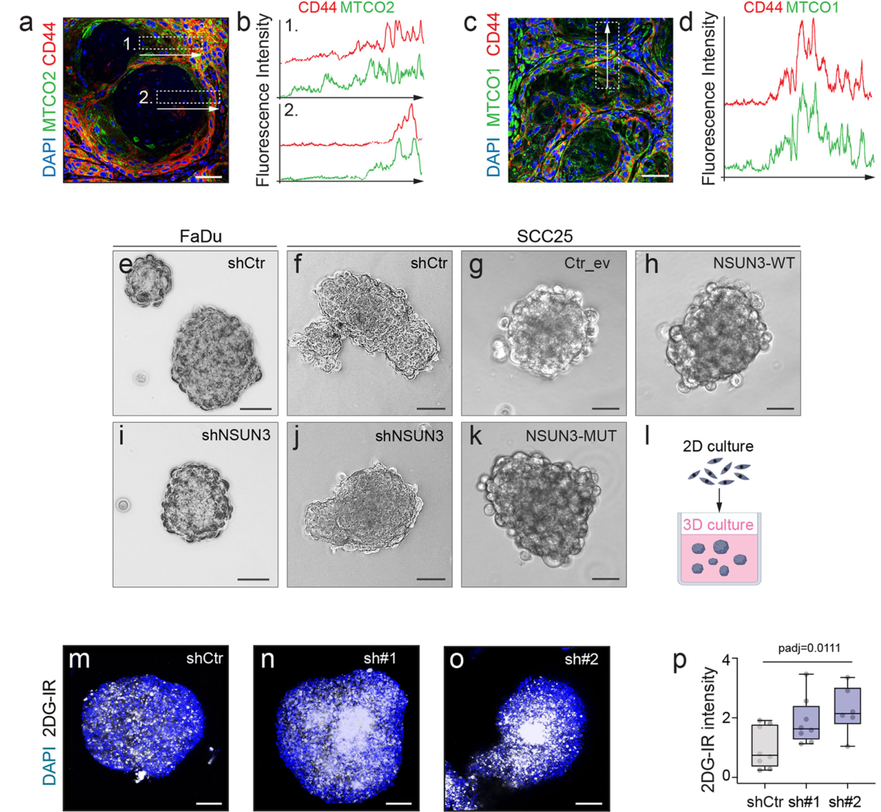 image-20220723155718672