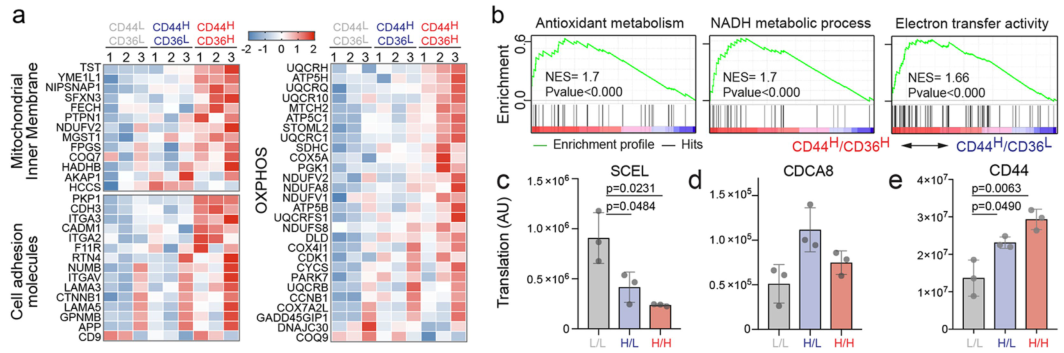 image-20220723183406639