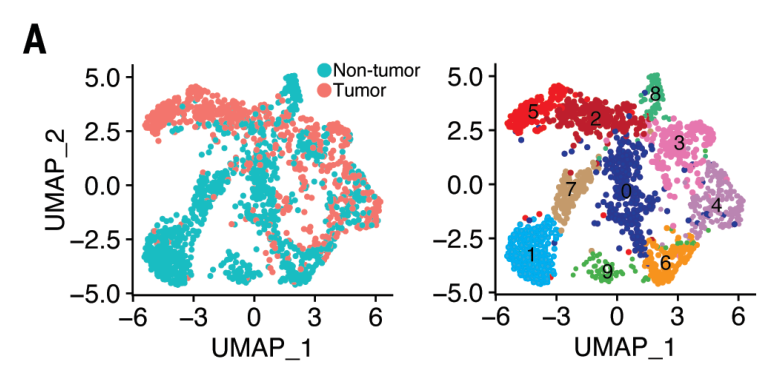 image-20220727201323531