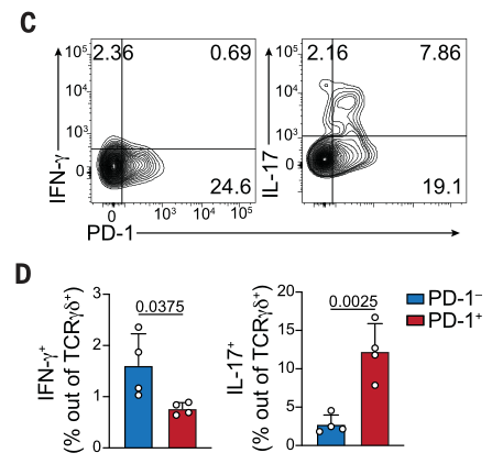 image-20220727204451853