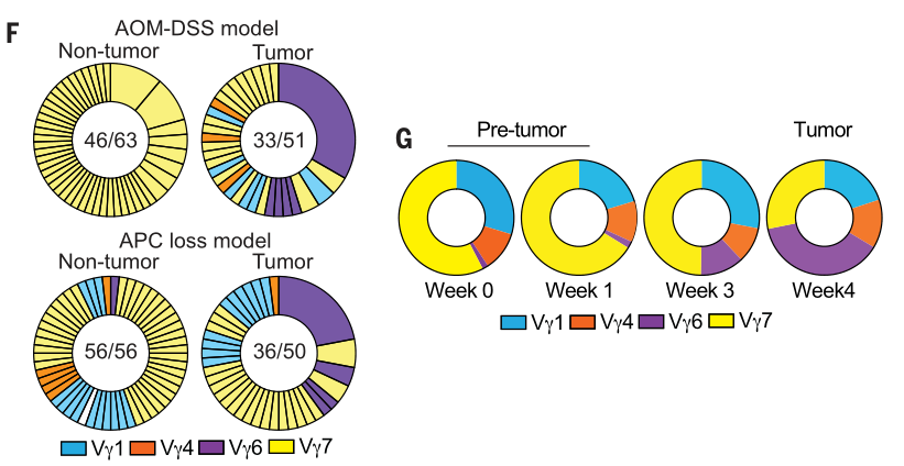 image-20220727205220479