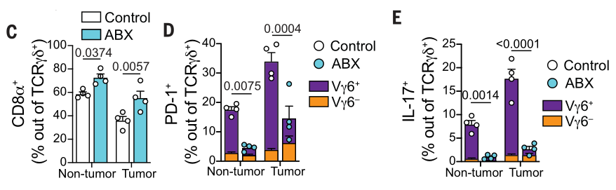 image-20220729194237047