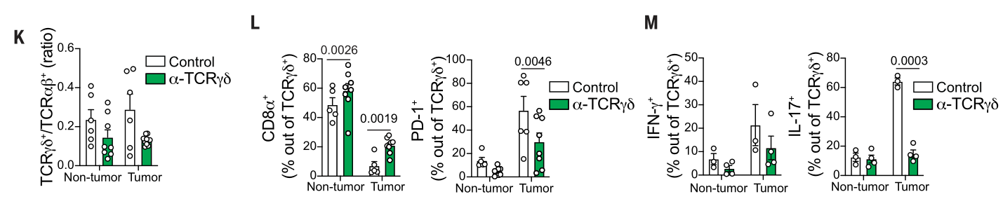 image-20220729195607652