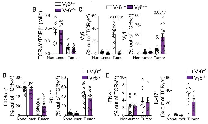 image-20220729202557841
