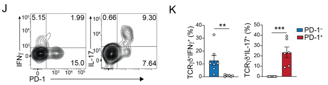 image-20220815161423456