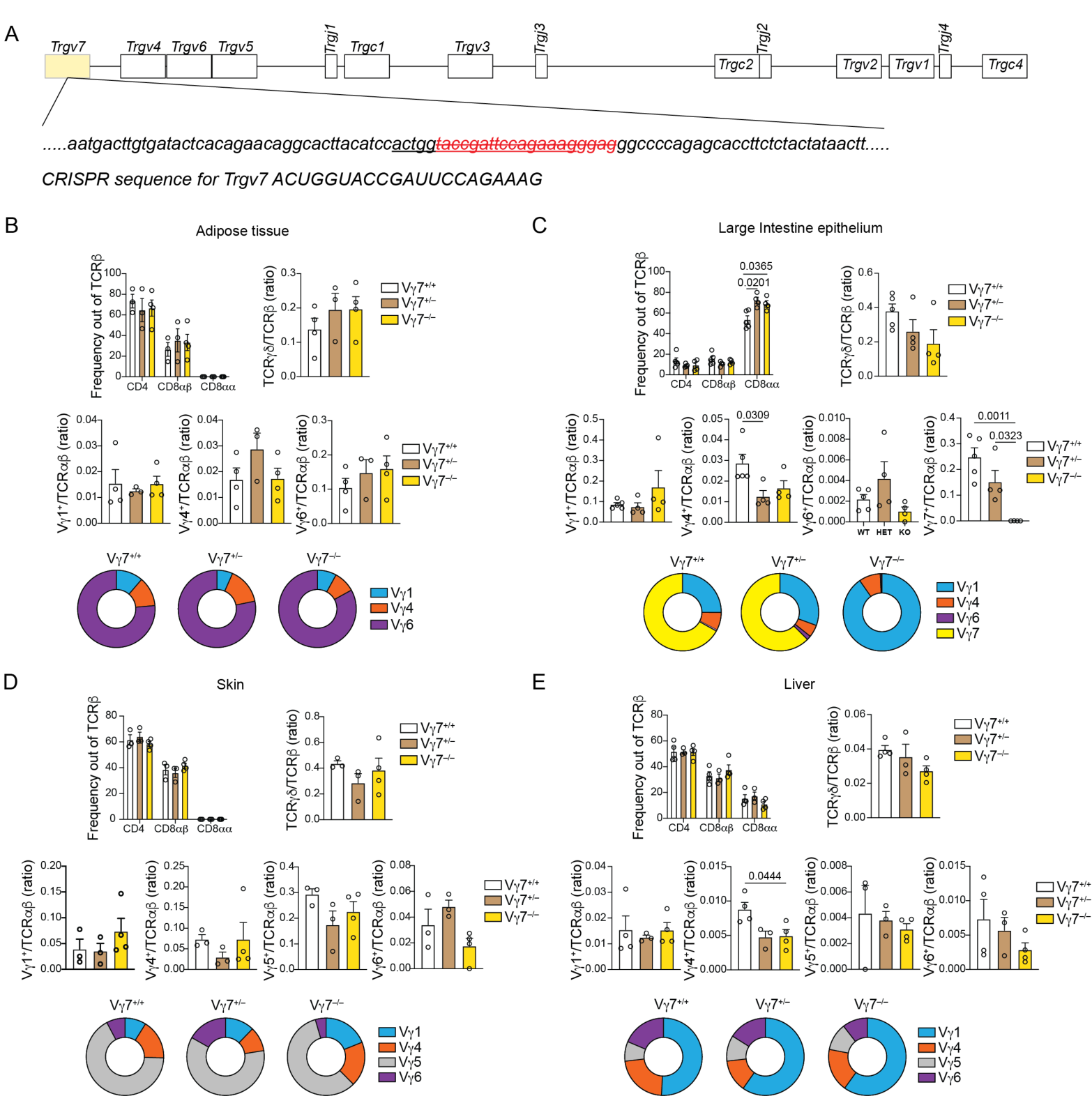 image-20220823145851016