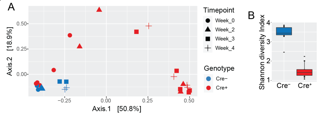 image-20220825184831829