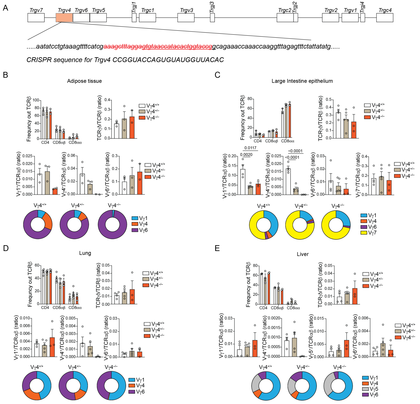 image-20220825190928766