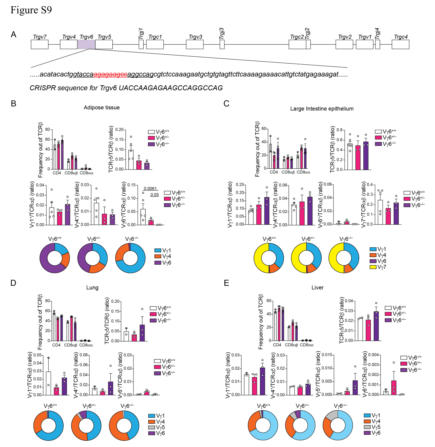 image-20220825191049762