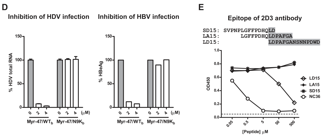 image-20220903065125994