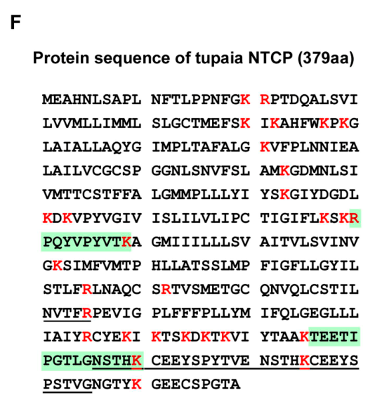 image-20220904161816146