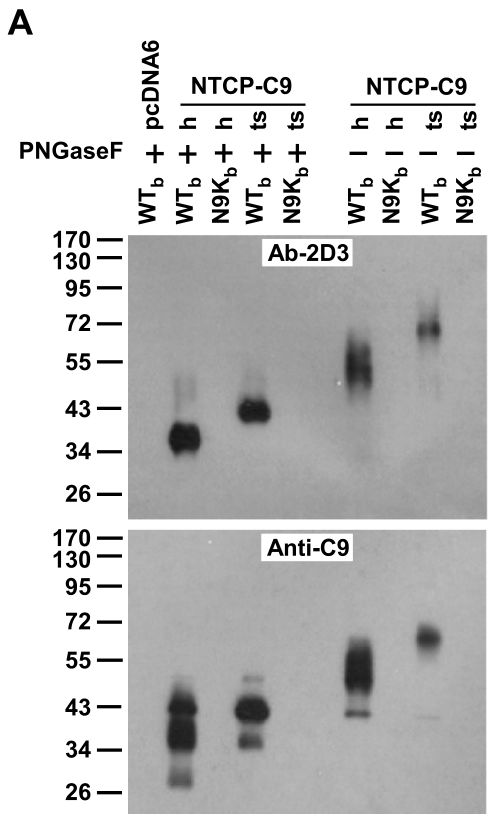 image-20220904172137689