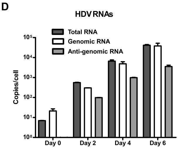 image-20220906095738750