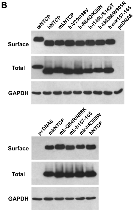 image-20221002085929025