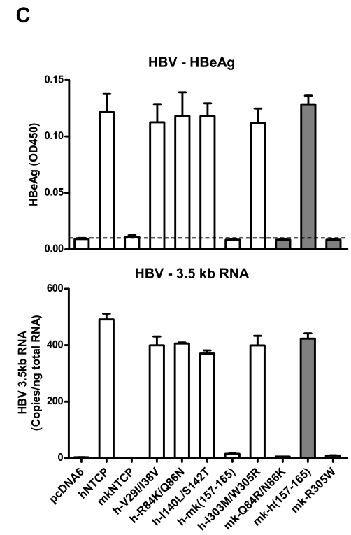 image-20221002090103035